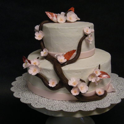 Wilton Course 3-- Final Cake