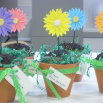 Potted Daisies