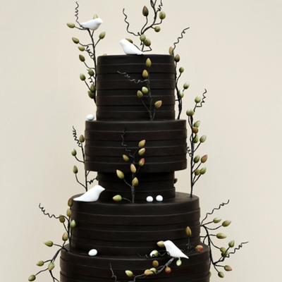 Dark Chocolate Stripes