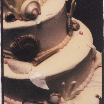 Seashell Wedding Cake