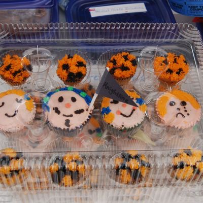 Pommer Cupcakes