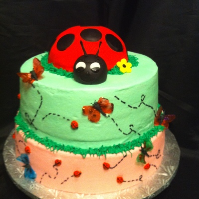 Bugs And Butterflies