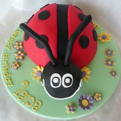 Ladybeetle!