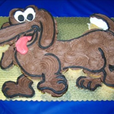 Dachshund