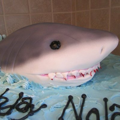 3D Shark Cake