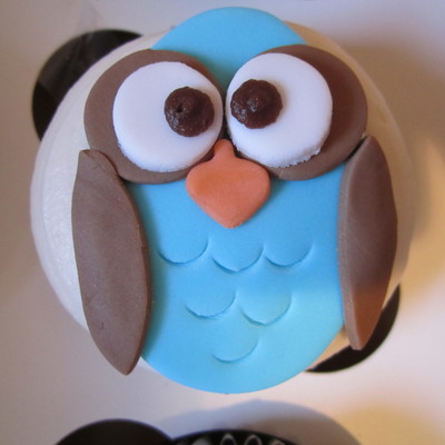 Matching Baby Owl Cupcakes
