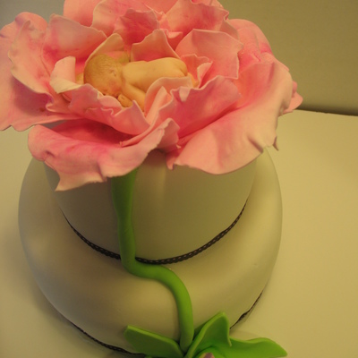 Anne Geddes Style Baby Shower Cake And Cuppies