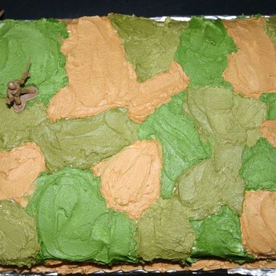 Army/camo Cake