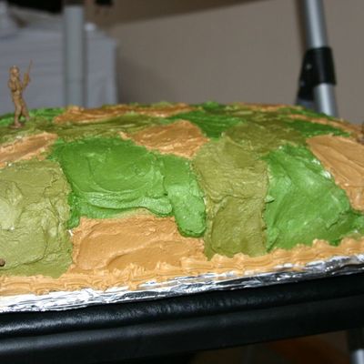 Different View Of Camo Cake