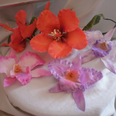 Sugar Hibiscus And Orchids