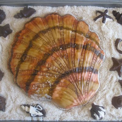 Sea Shell
