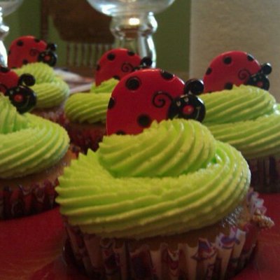 Lady Bugs