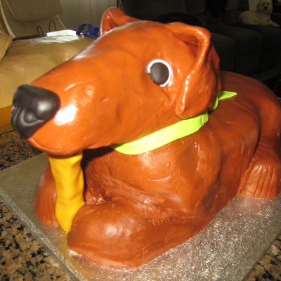 Dog Cake