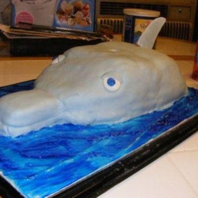 3D Dolphin Cake
