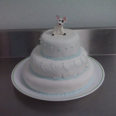 First Tiered Cake