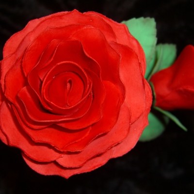 Red Rose