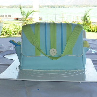 First Baby Diapers Bag