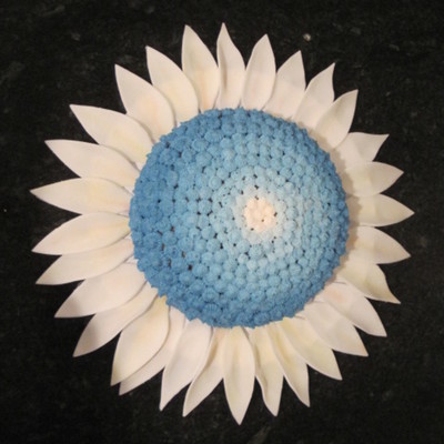 Blue Daisy