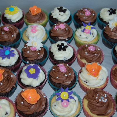 Assorted Cupcakes