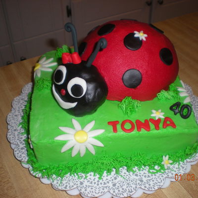 Lady Bug Cake!