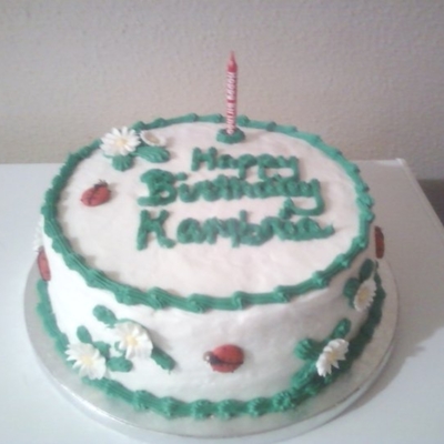 1 Of 2 Kambria's 1St Ladybug Birthday Cake