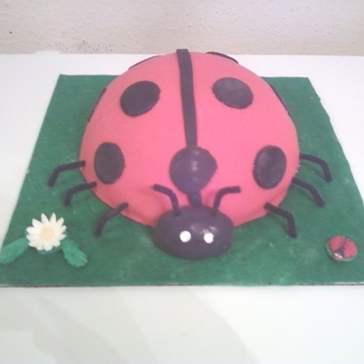 2 Of 2 Kambria's Ladybug 1St Birthday Cake