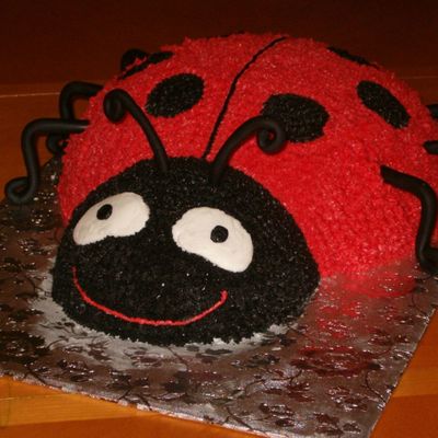 Ladybug