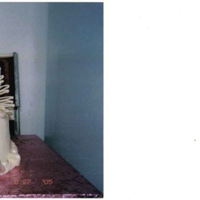 Chocolate Sea Shells On Fondant