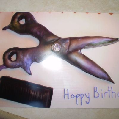 Scissors And Comb