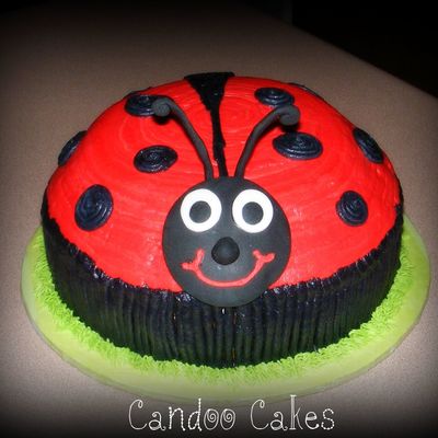 Ladybug, Ladybug...