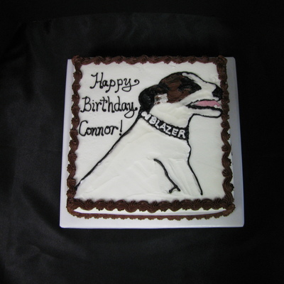 Blazer The Birthday Dog