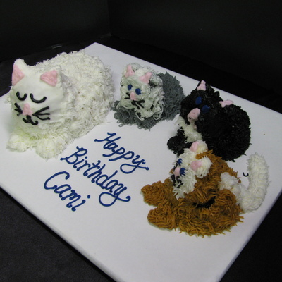 Mama Kitty And Kittens