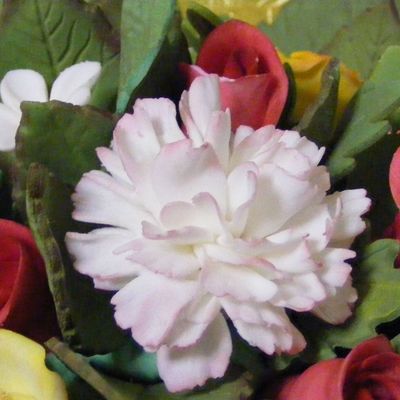 Carnations