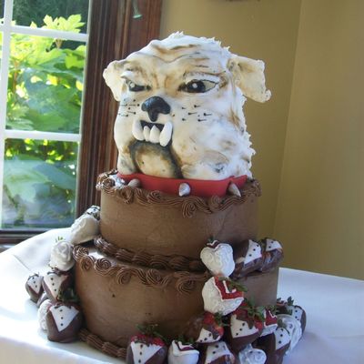 University Of Georgia Bulldog Cake