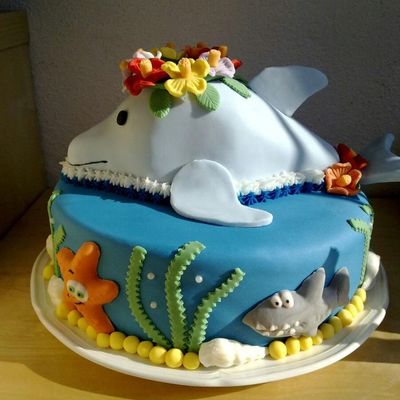 Hawaii Dolphin