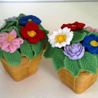 Flower Pots