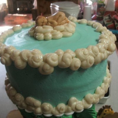 Jungle Theme Baby Shower