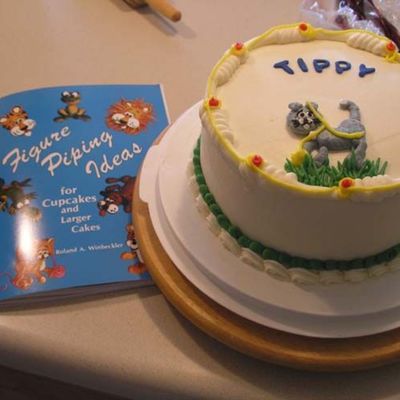 Cat Figure Piped/flavor Practice Cake