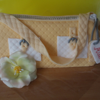 Handbag