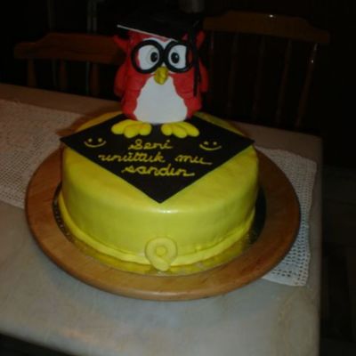Owl Cake