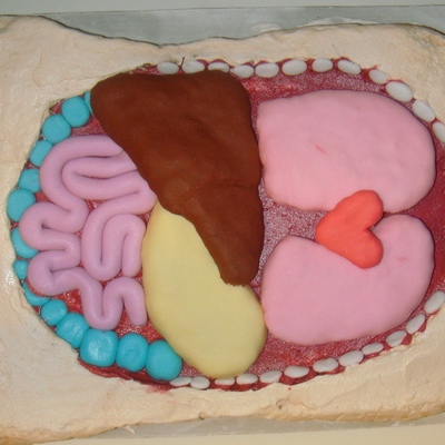 Anatomy Cake