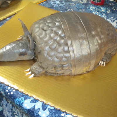 Armadillo Cake