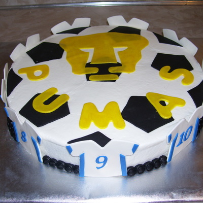 Pumas Soccer Team Cake