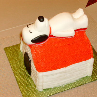 Snoopy "smash Cake"