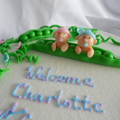 Twin Baby In A Pea Pod