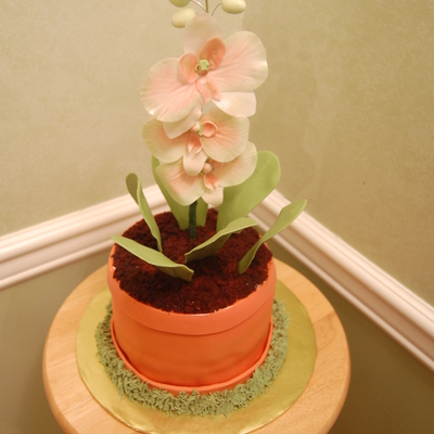 Orchid Flower Pot