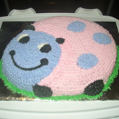 Ladybug Cake