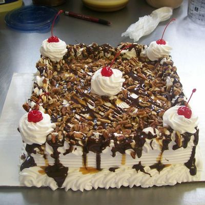 Turtle Cake