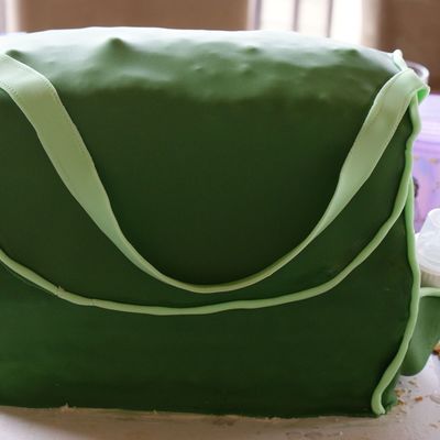 Diaper Bag Cake...what A Disaster!