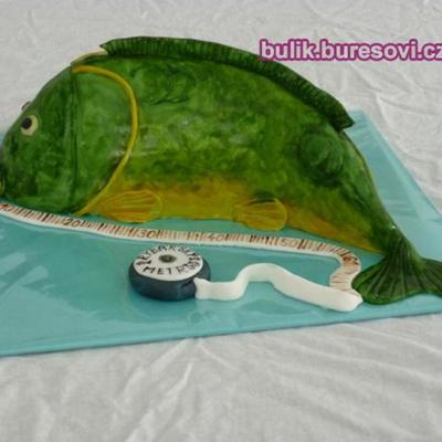 Fish - Carp, With The Fishing Metro